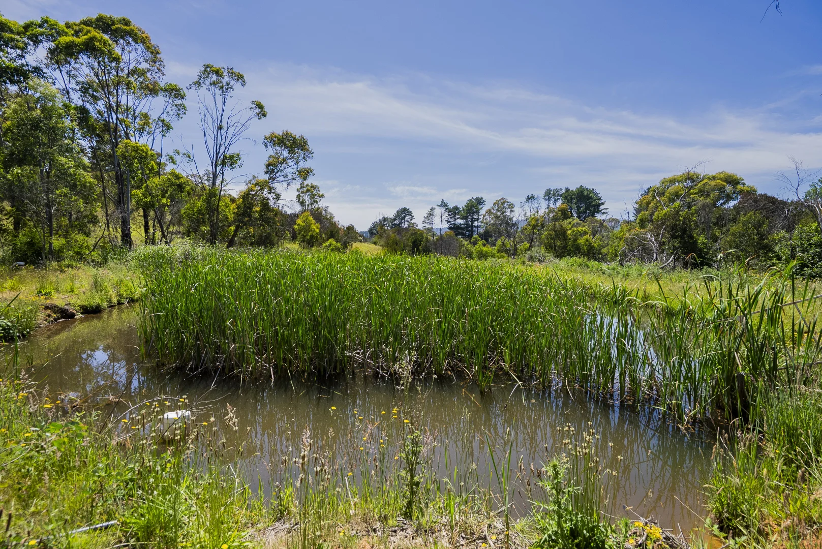 Additional image 20 of 107 Mill Road, Batlow NSW 2730