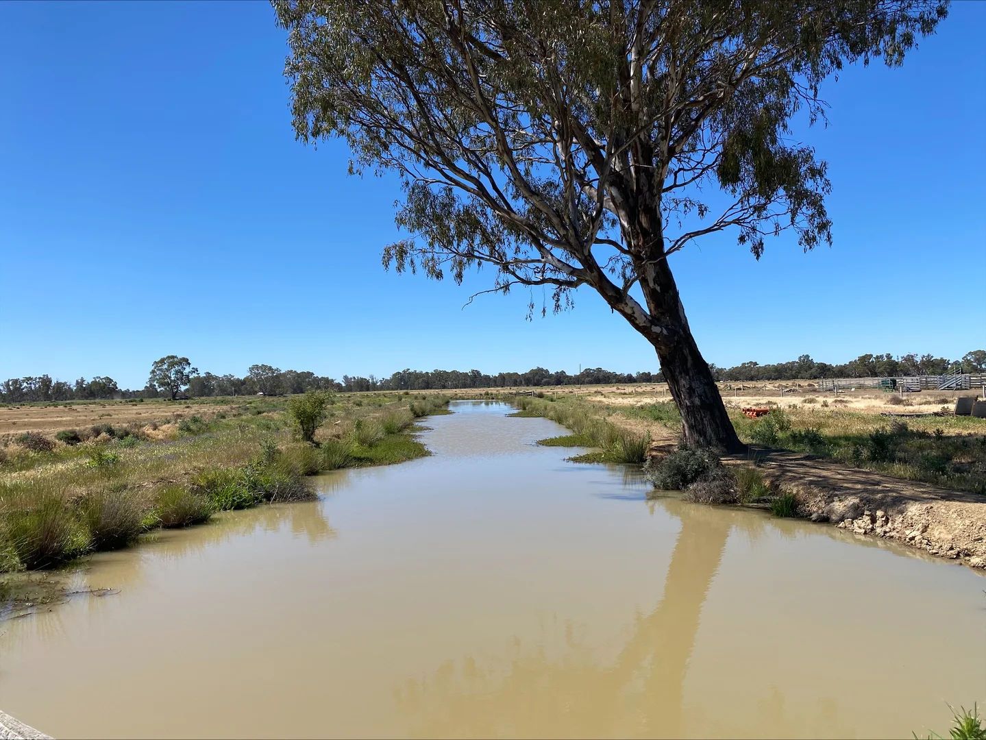 Additional image 8 of 748 Hinkson Road, Koondrook VIC 3580