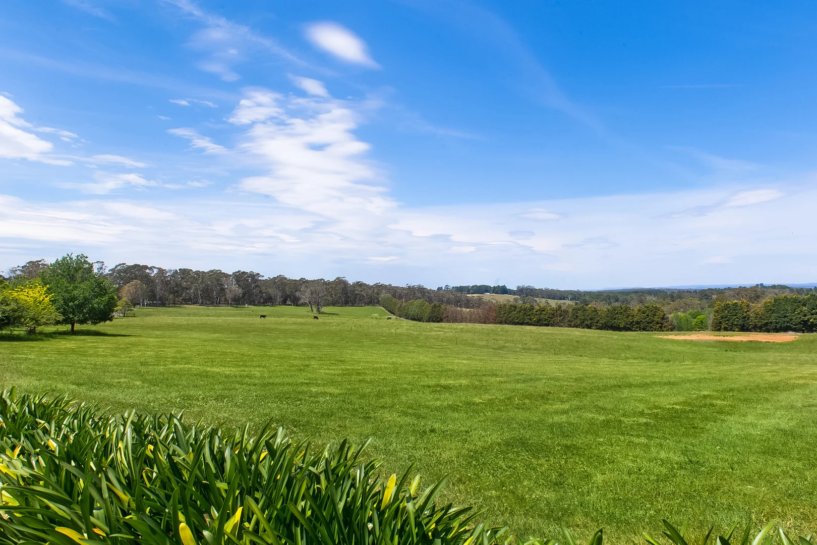 Additional image 15 of 506 Old Argyle Road, Exeter NSW 2579