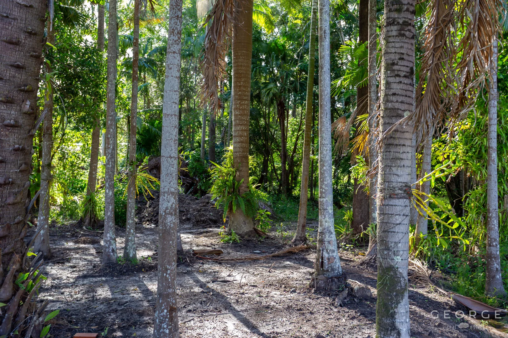 Additional image 14 of 3 Toomey Street, Traveston QLD 4570