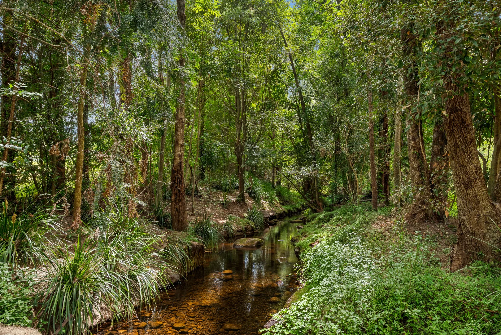 Additional image 24 of 1144 Winn Road, Mount Samson QLD 4520