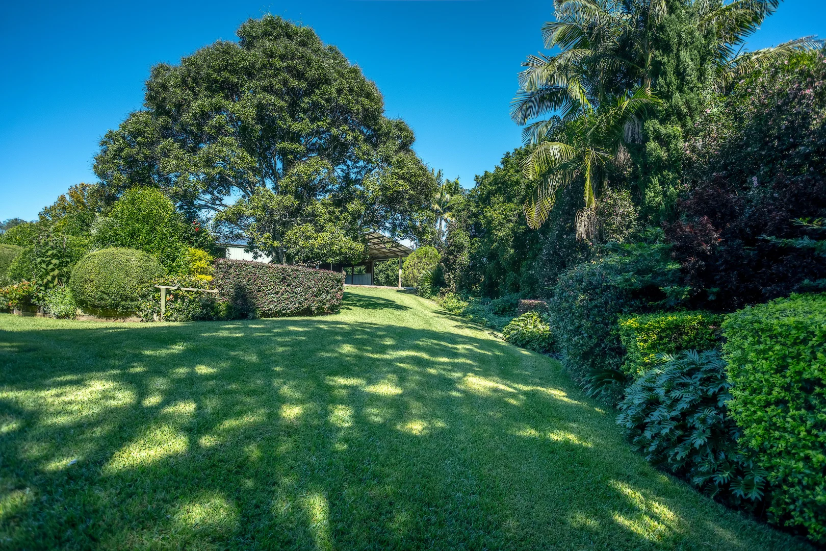 Additional image 22 of 2165 Waterfall Way, Thora NSW 2454