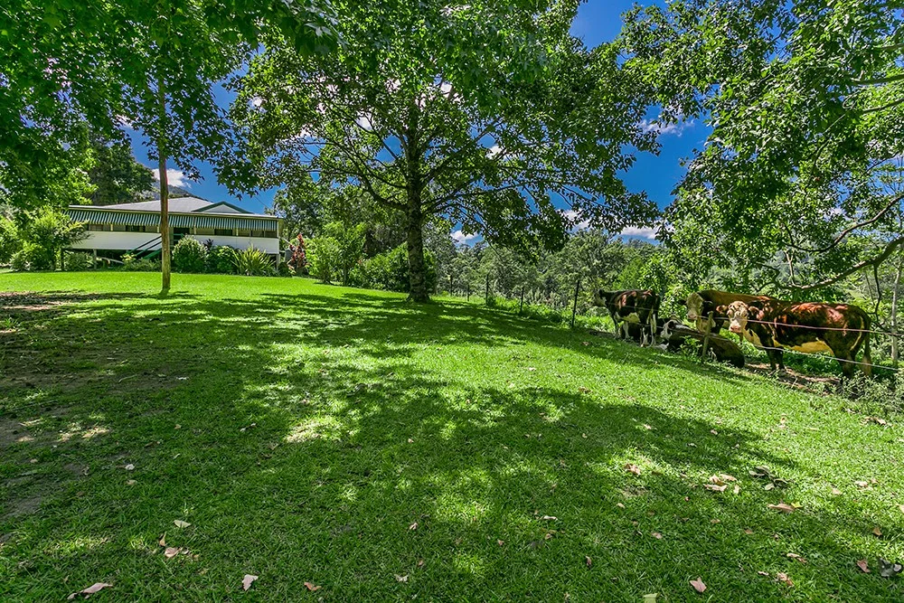 Additional image 7 of 442 Blue Knob Road, Nimbin NSW 2480