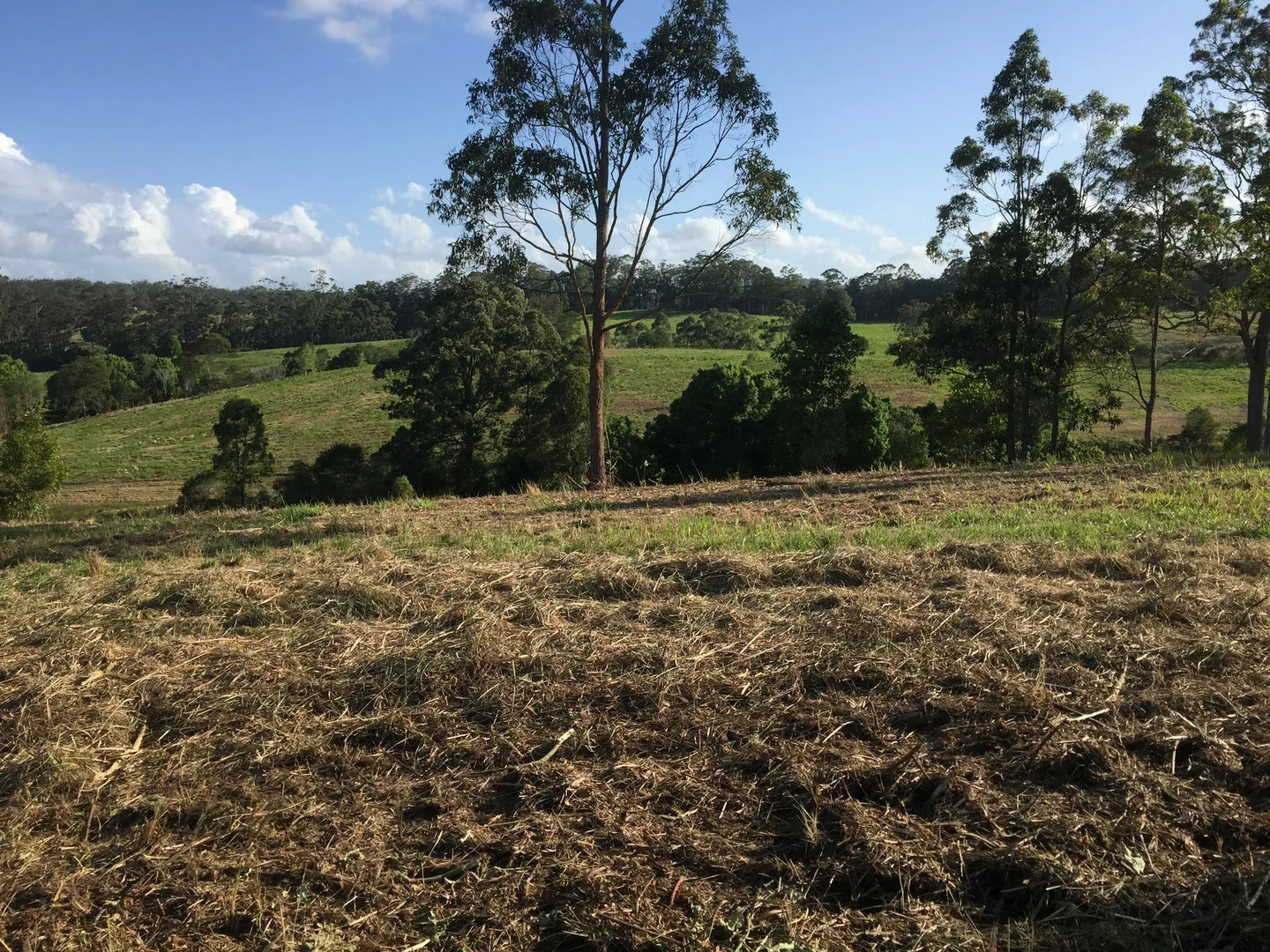 Additional image 7 of 45 Moores Lane, Eungai Creek NSW 2441