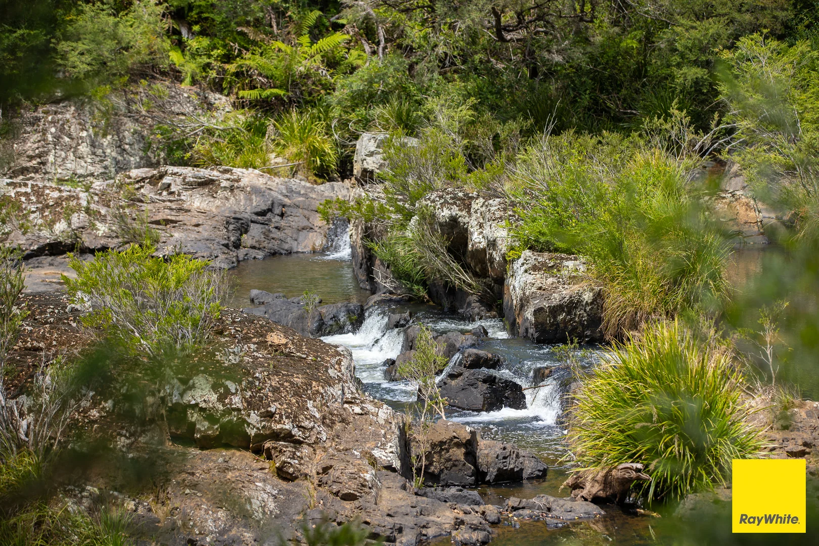 Additional image 26 of 262 Snows Road, Dorrigo NSW 2453