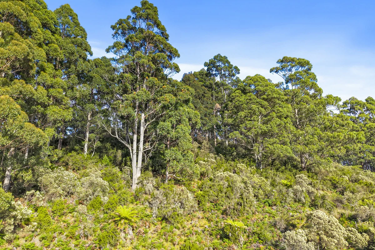 Additional image 7 of 3 Nicholls Rivulet Road, Nicholls Rivulet TAS 7112