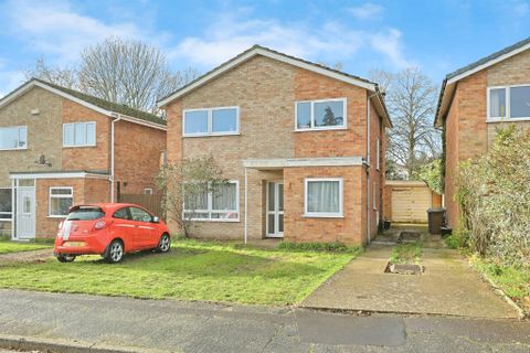 Primula Drive, Norwich NR4