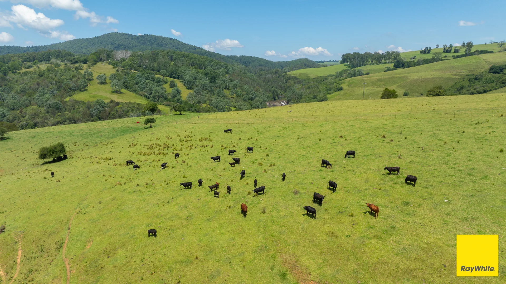 Additional image 16 of 262 Snows Road, Dorrigo NSW 2453