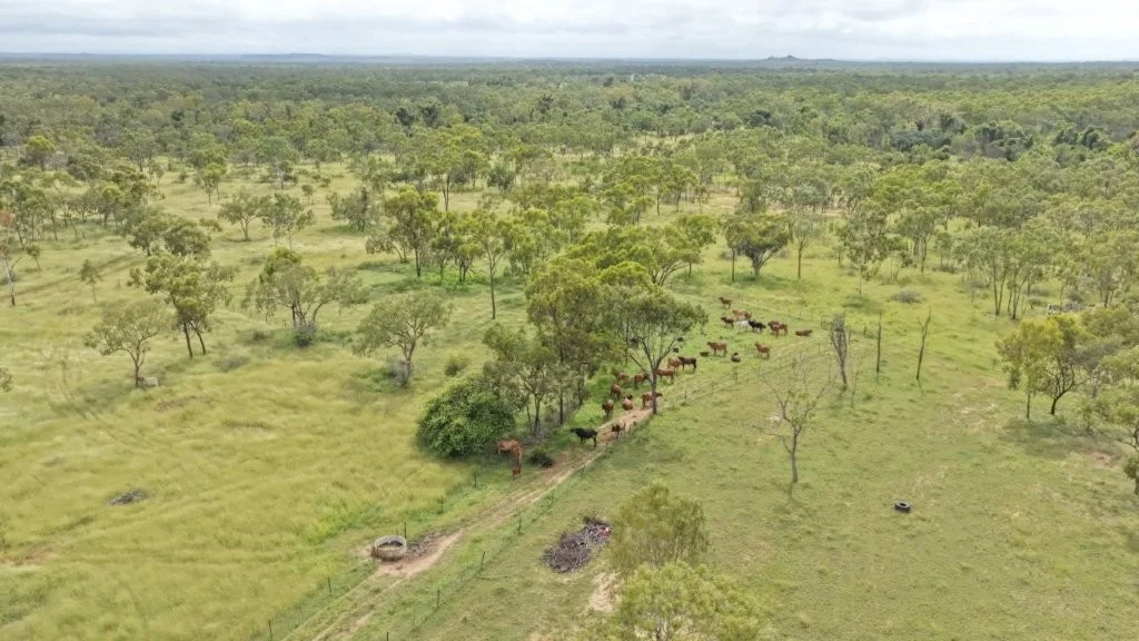 Additional image 4 of 240 Dalrymple Road, Breddan QLD 4820