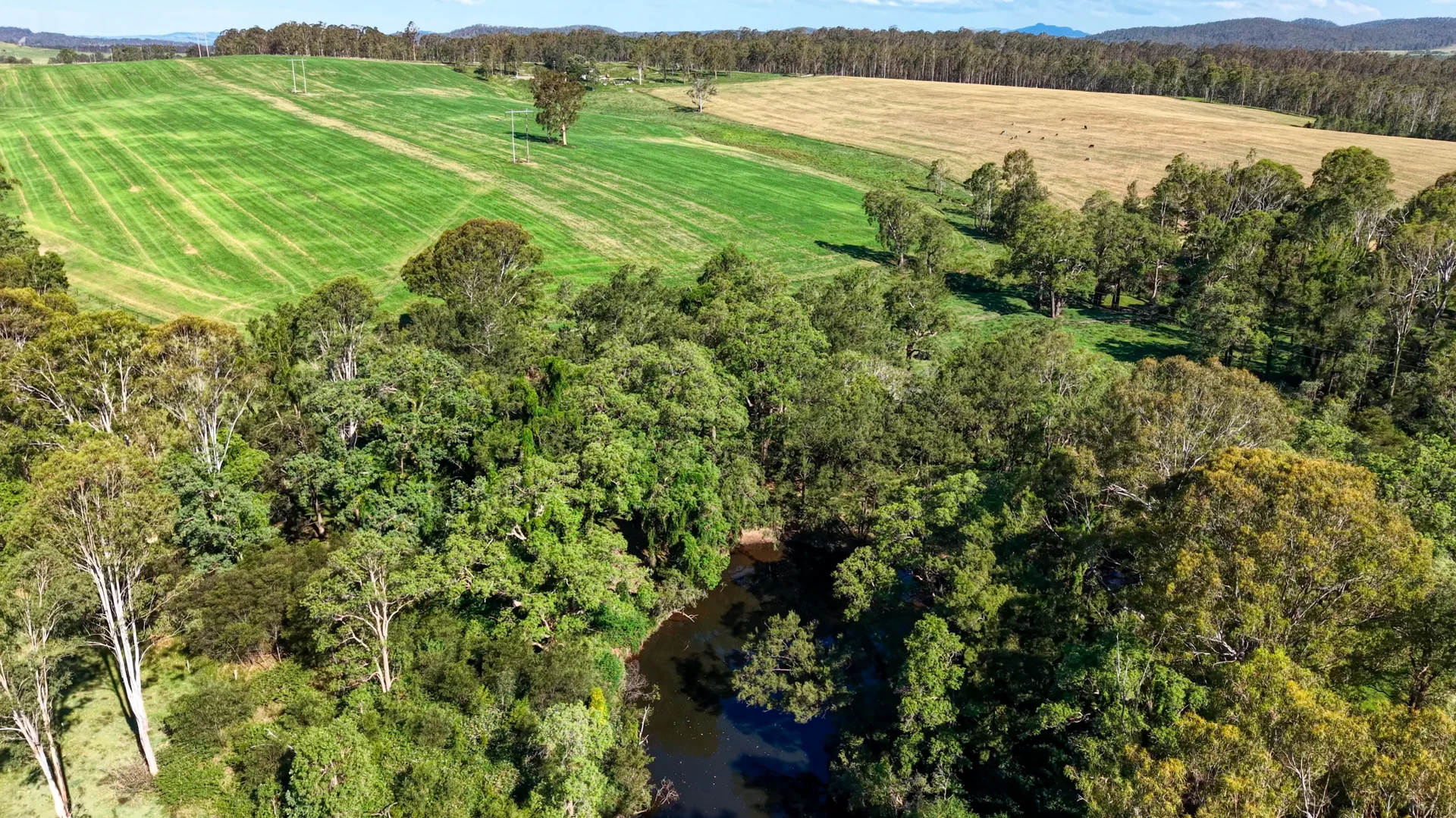 Additional image 13 of 119 Paddys Flat Road, Tabulam NSW 2469