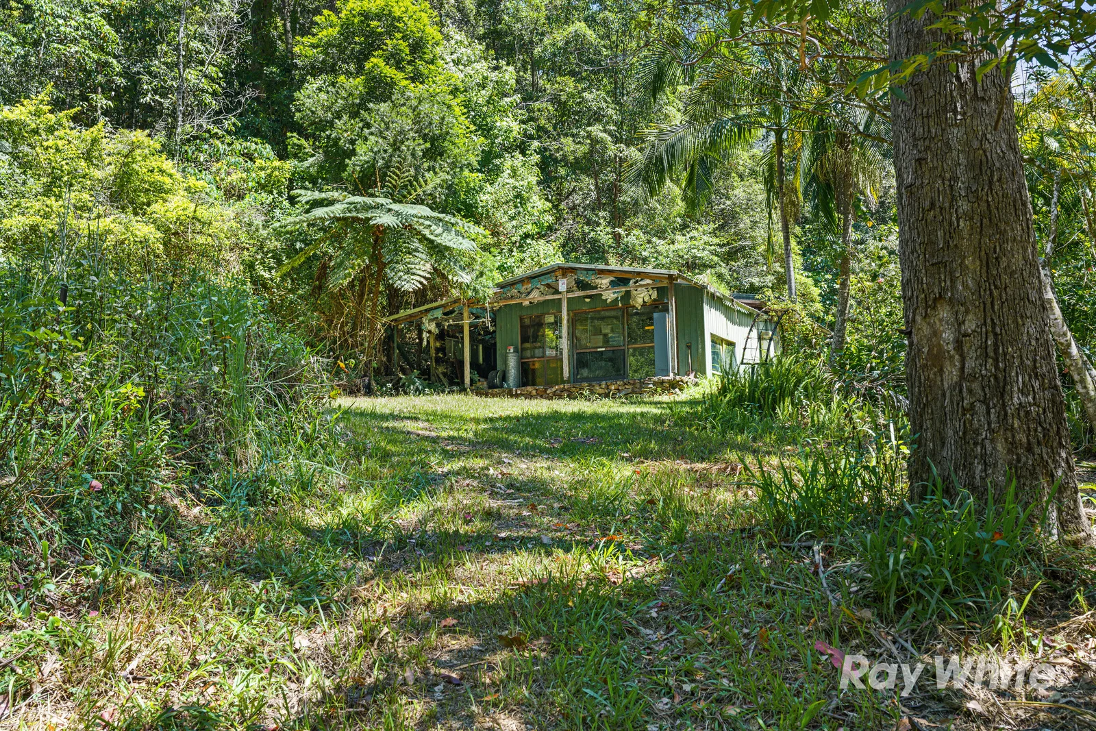 131 Porters Road, Upper Crystal Creek NSW 2484