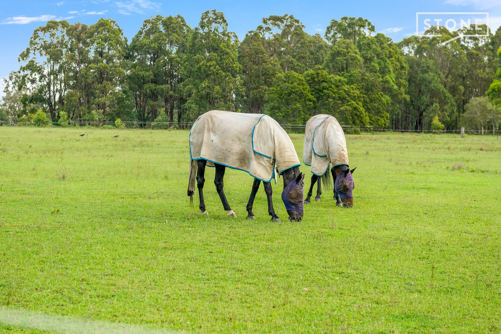Additional image 13 of 11 James Lane, Sawyers Gully NSW 2326