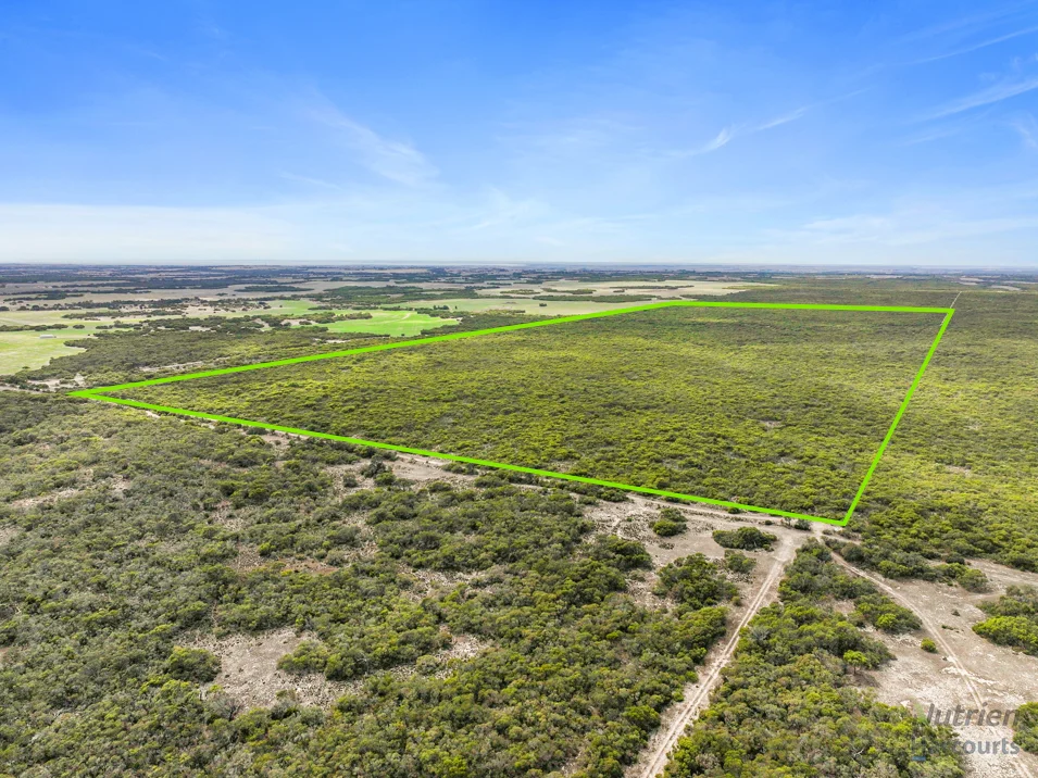 Sect. 230 Levens Road, Warooka SA 5577 photo 3