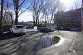 Additional image 36 of 14 Marion St Apt 4, Brookline, MA, 02446