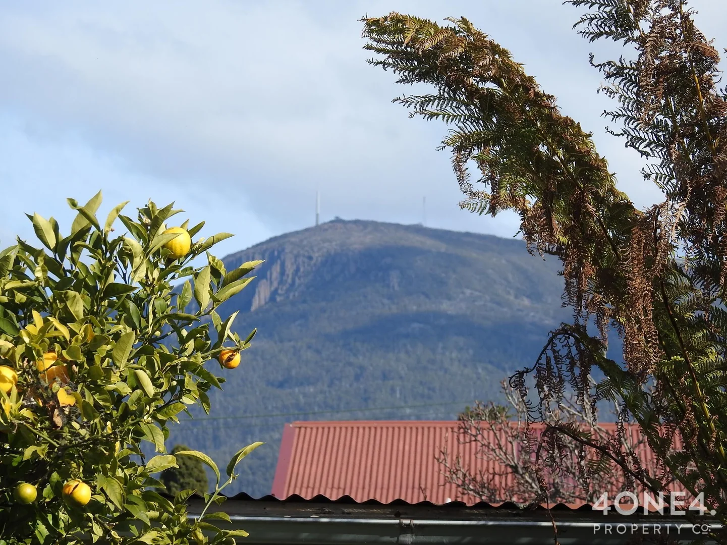 Additional image 14 of 8 Mercer Street, New Town TAS 7008