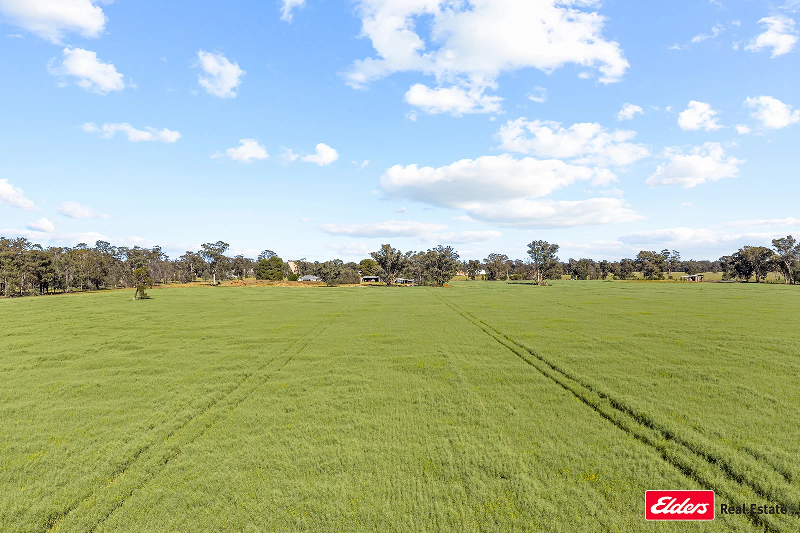 Additional image 29 of 223 Morans Road, Bribbaree NSW 2594