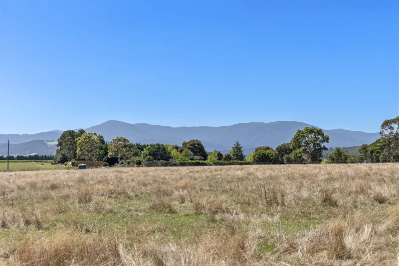 12 Maddens Lane, Coldstream VIC 3770 photo 5