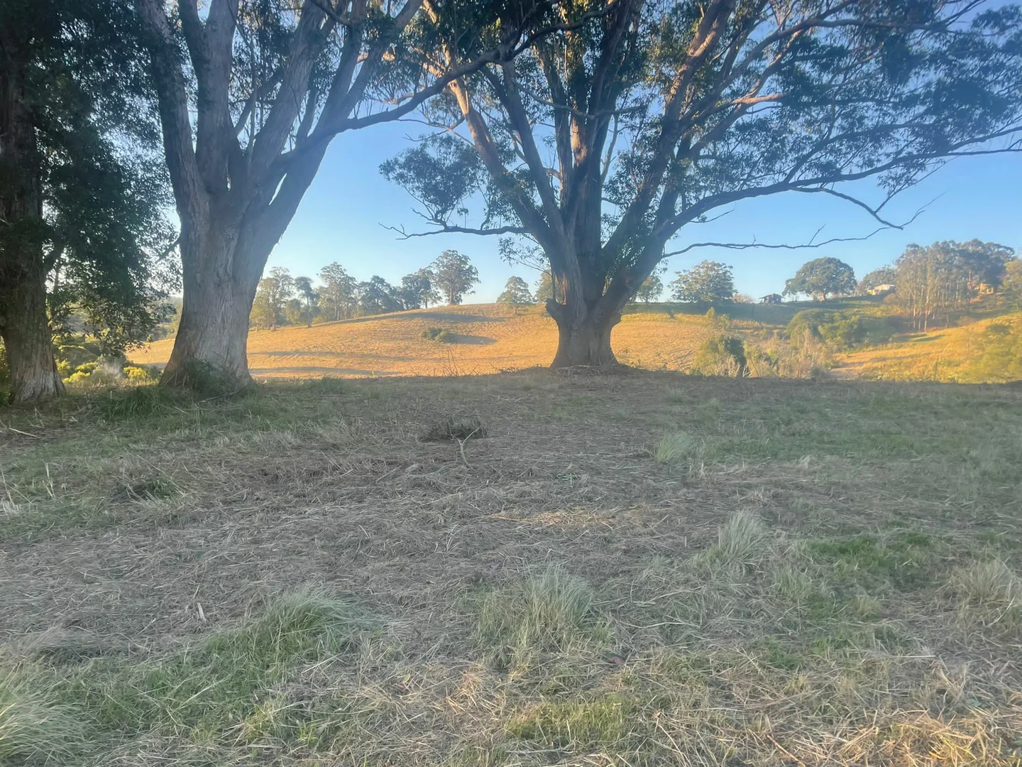Additional image 17 of 45 Moores Lane, Eungai Creek NSW 2441