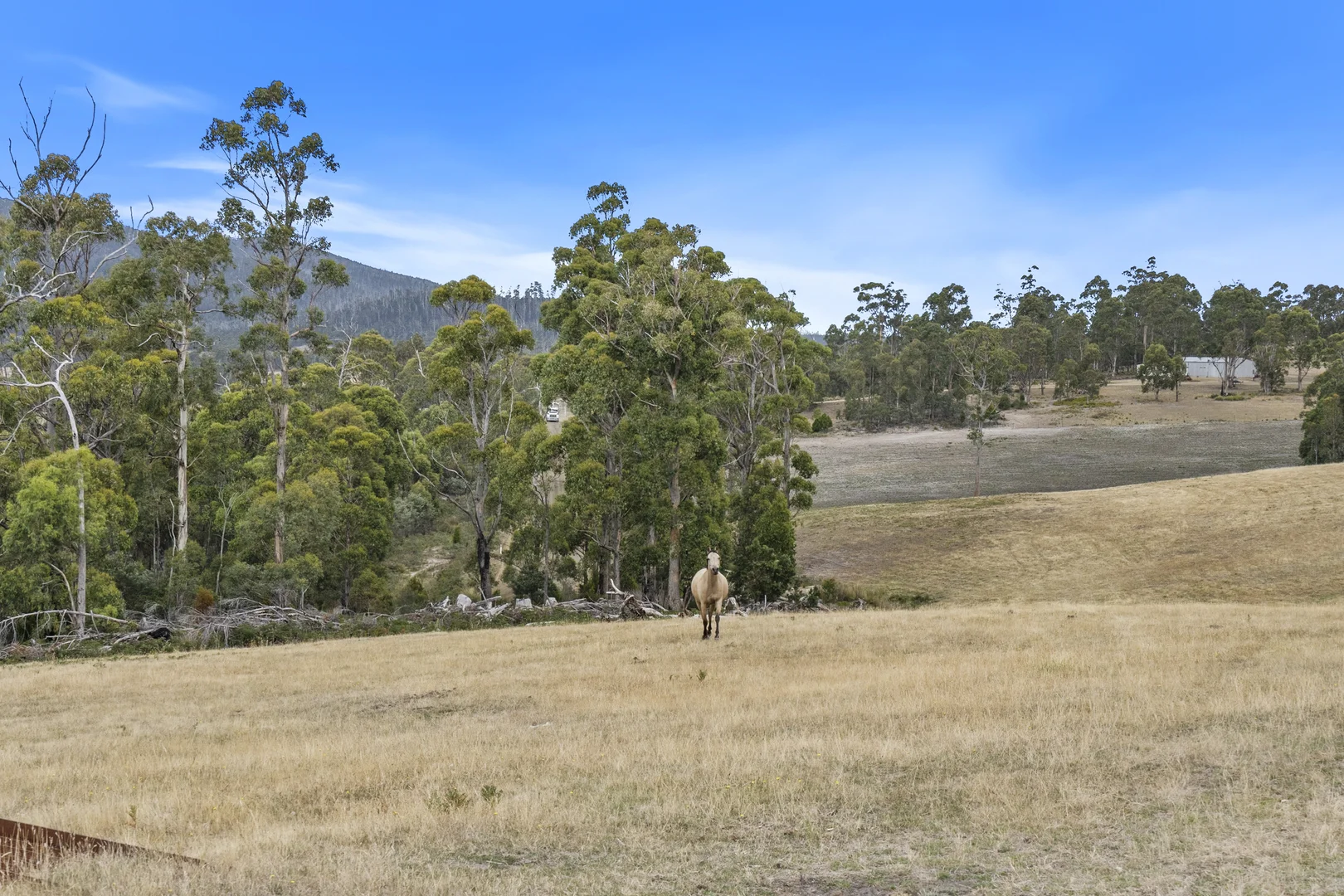 Additional image 47 of 94 Blue Hills Road, Copping TAS 7174