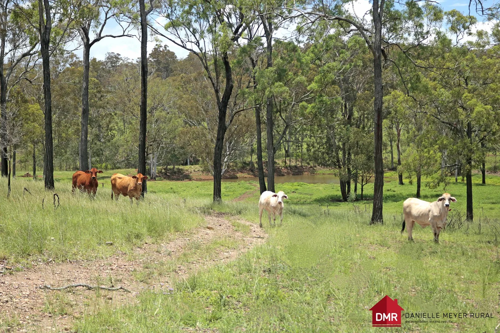 Additional image 22 of 271 McLaughlans Road, Monto QLD 4630