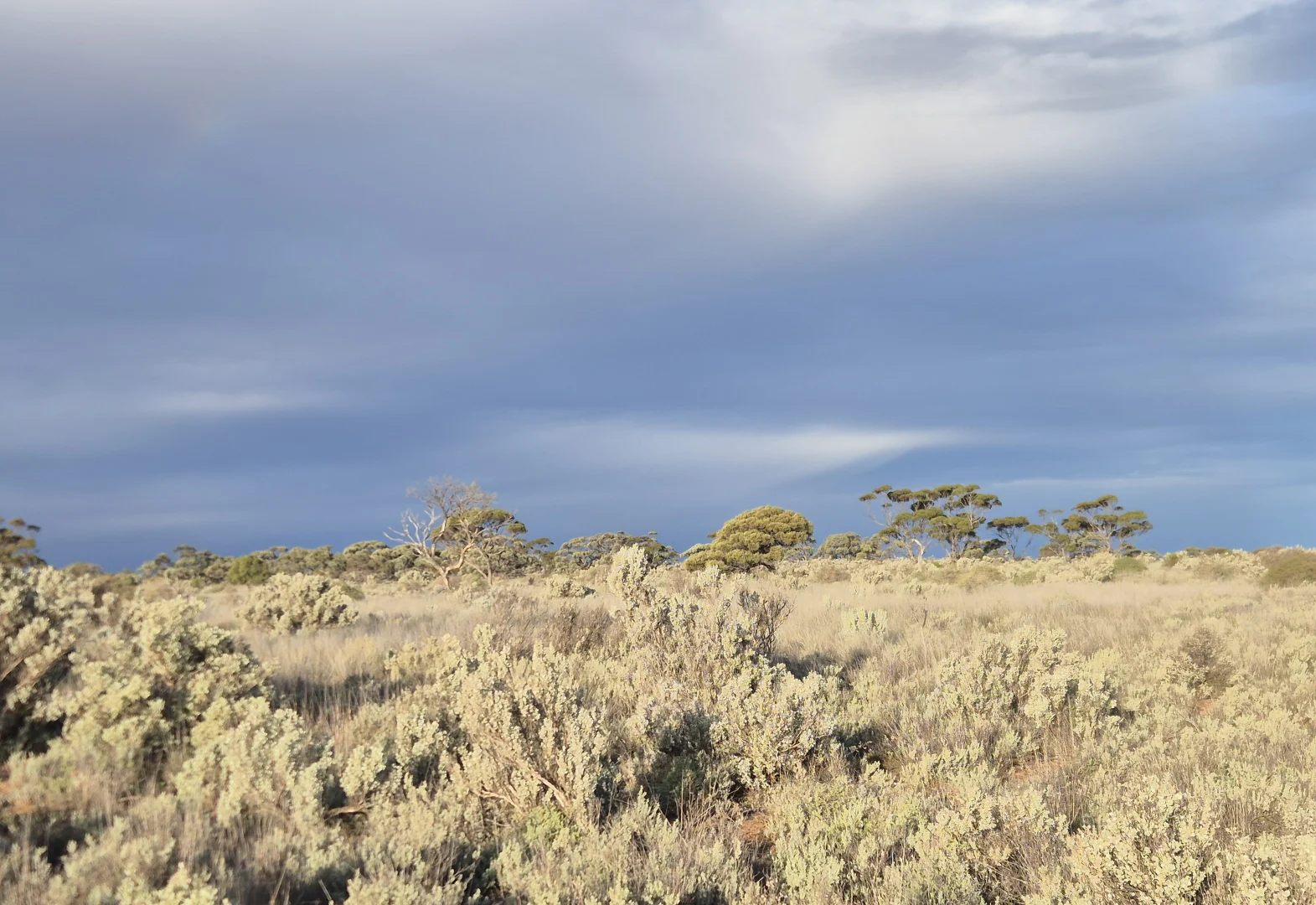 Additional image 16 of Madura Plains Station, Eucla WA 6443