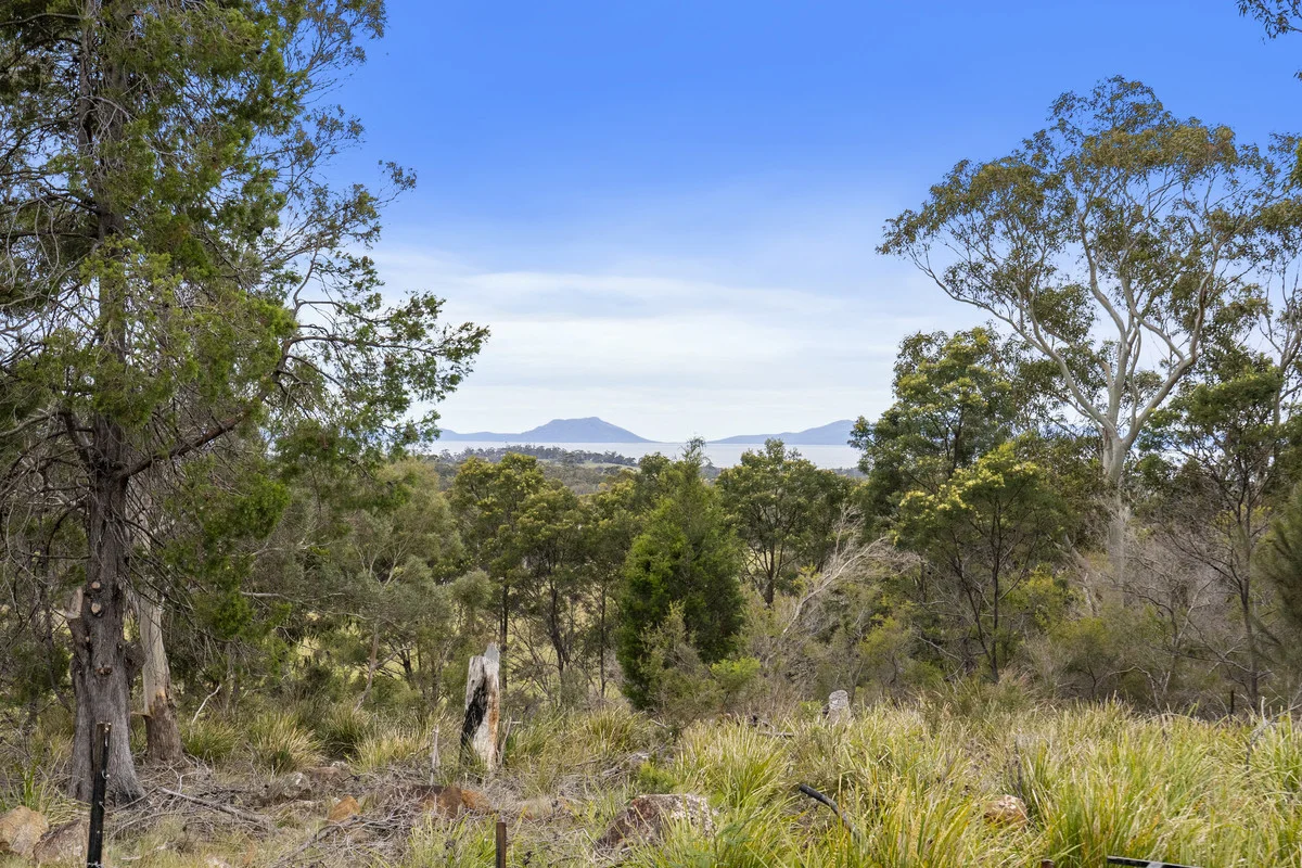 4/194 Bresnehans Road, Little Swanport TAS 7190