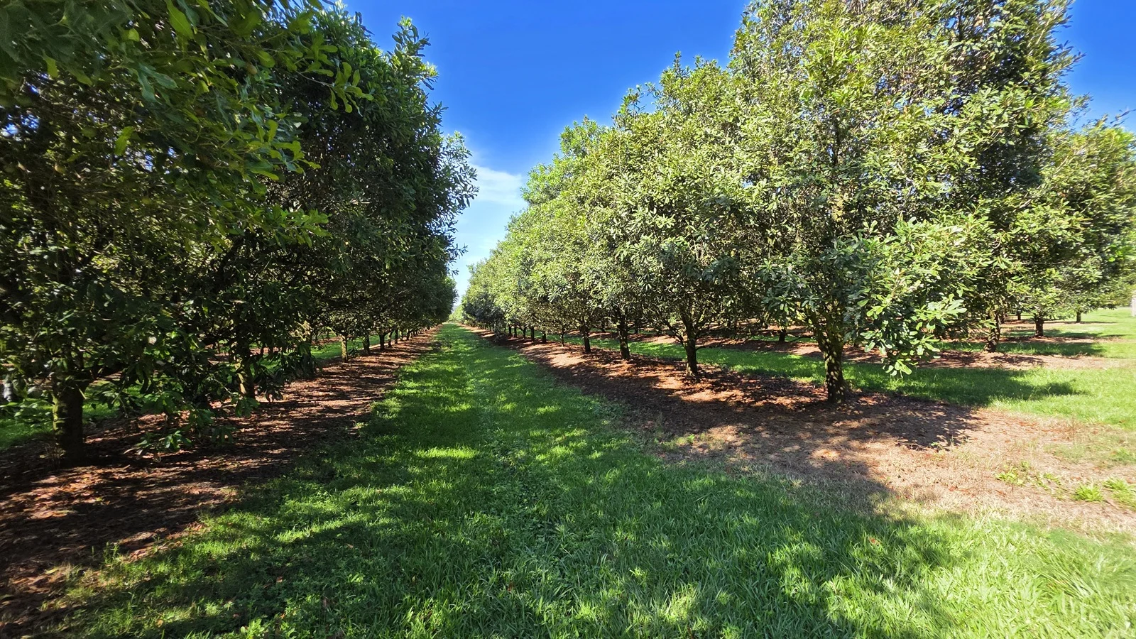 Additional image 11 of 389 Teven Road, Teven NSW 2478