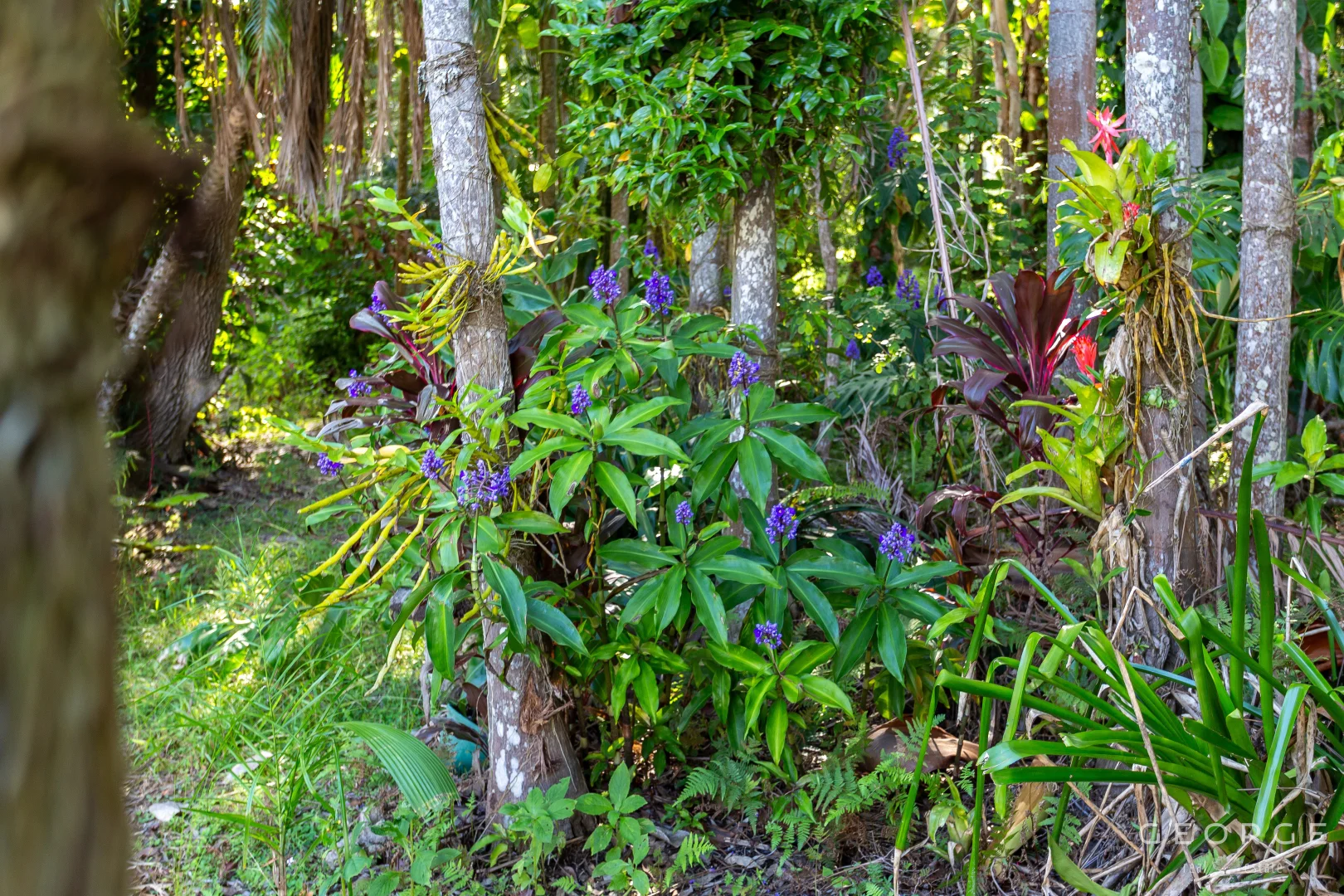 Additional image 10 of 3 Toomey Street, Traveston QLD 4570