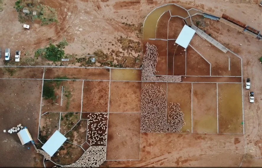 Additional image 4 of Madura Plains Station, Eucla WA 6443