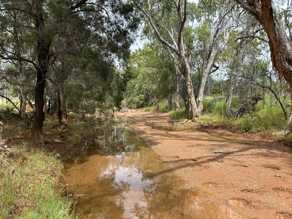 Additional image 14 of 240 Dalrymple Road, Breddan QLD 4820