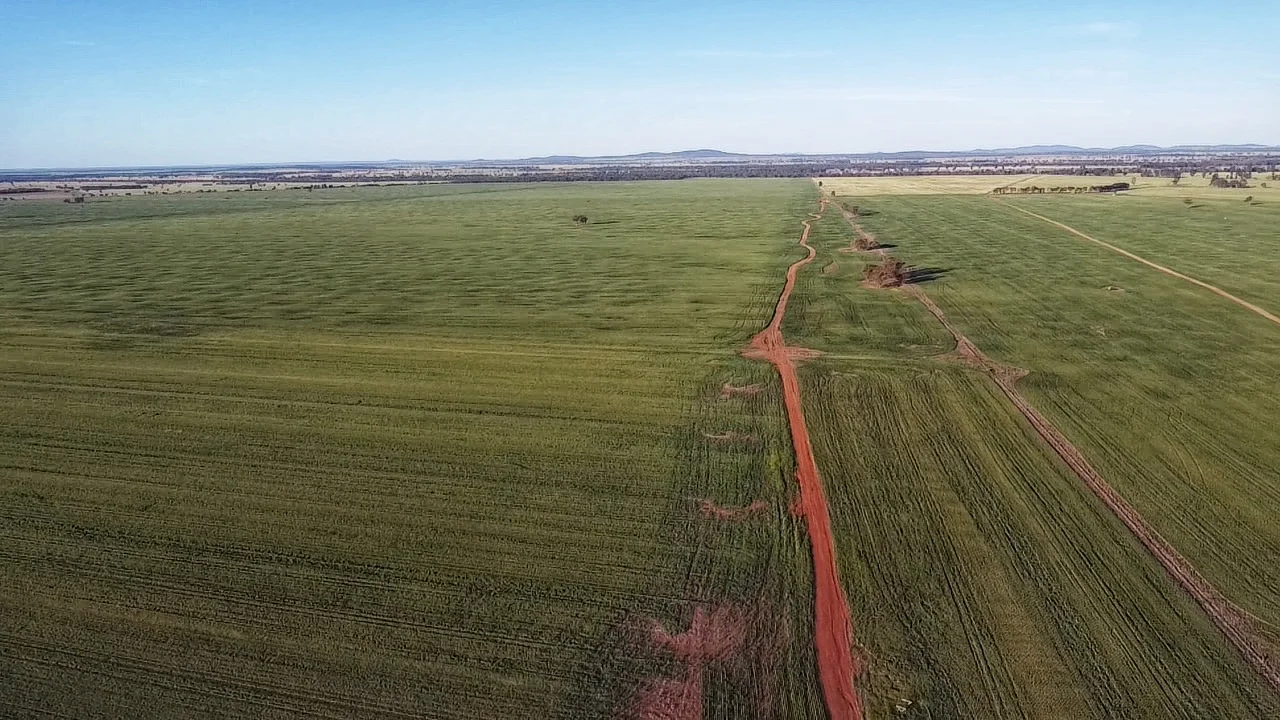Additional image 4 of Rosewood Aggregation 7033 The Gipps Way, Condobolin NSW 2877