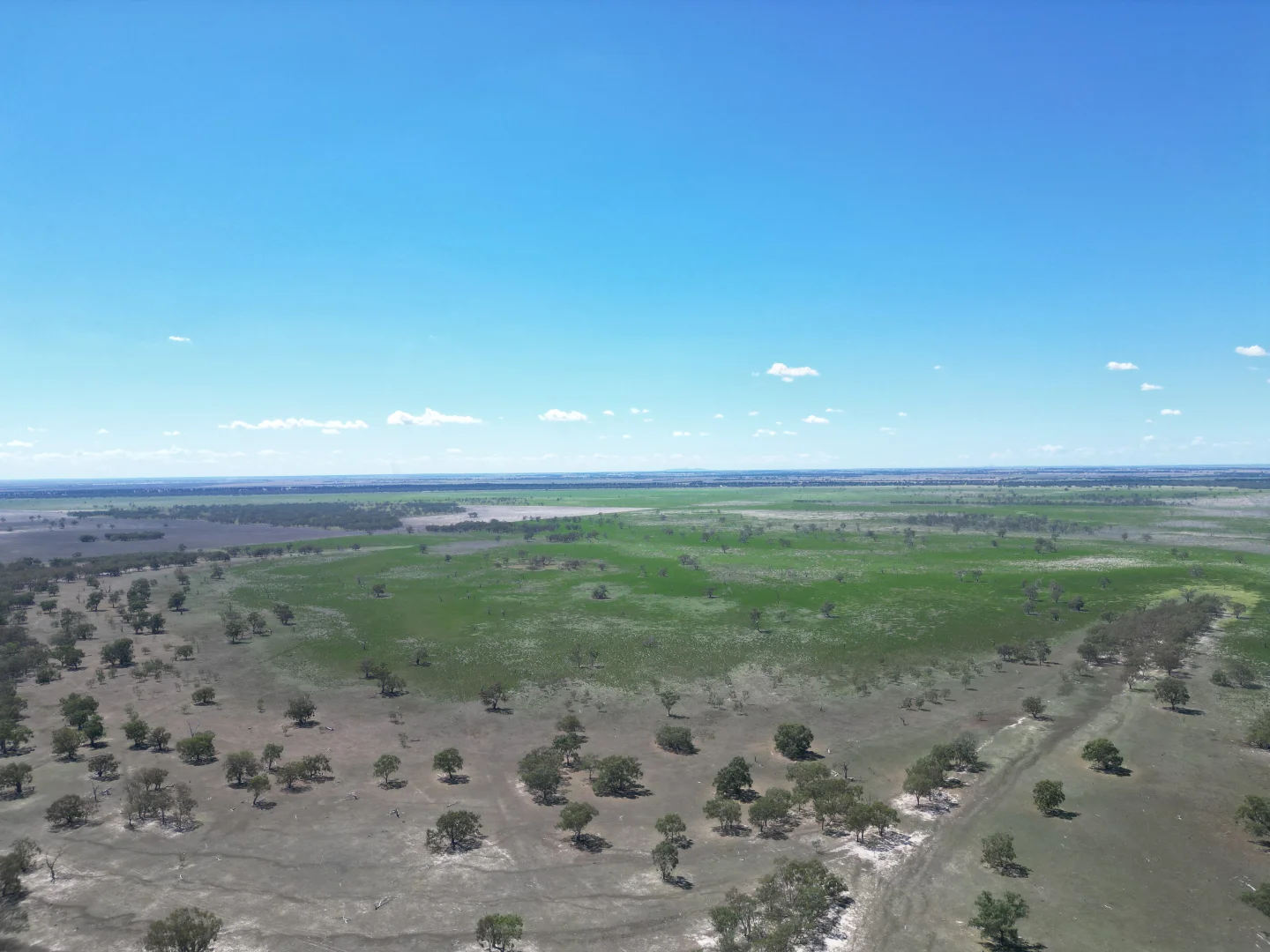 Additional image 8 of LOT 1 LP135805, 1 Cocketgedong Road, Urana NSW 2645
