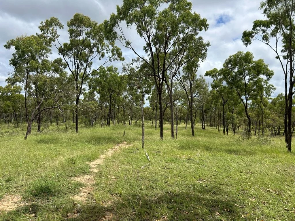 Additional image 31 of 240 Dalrymple Road, Breddan QLD 4820