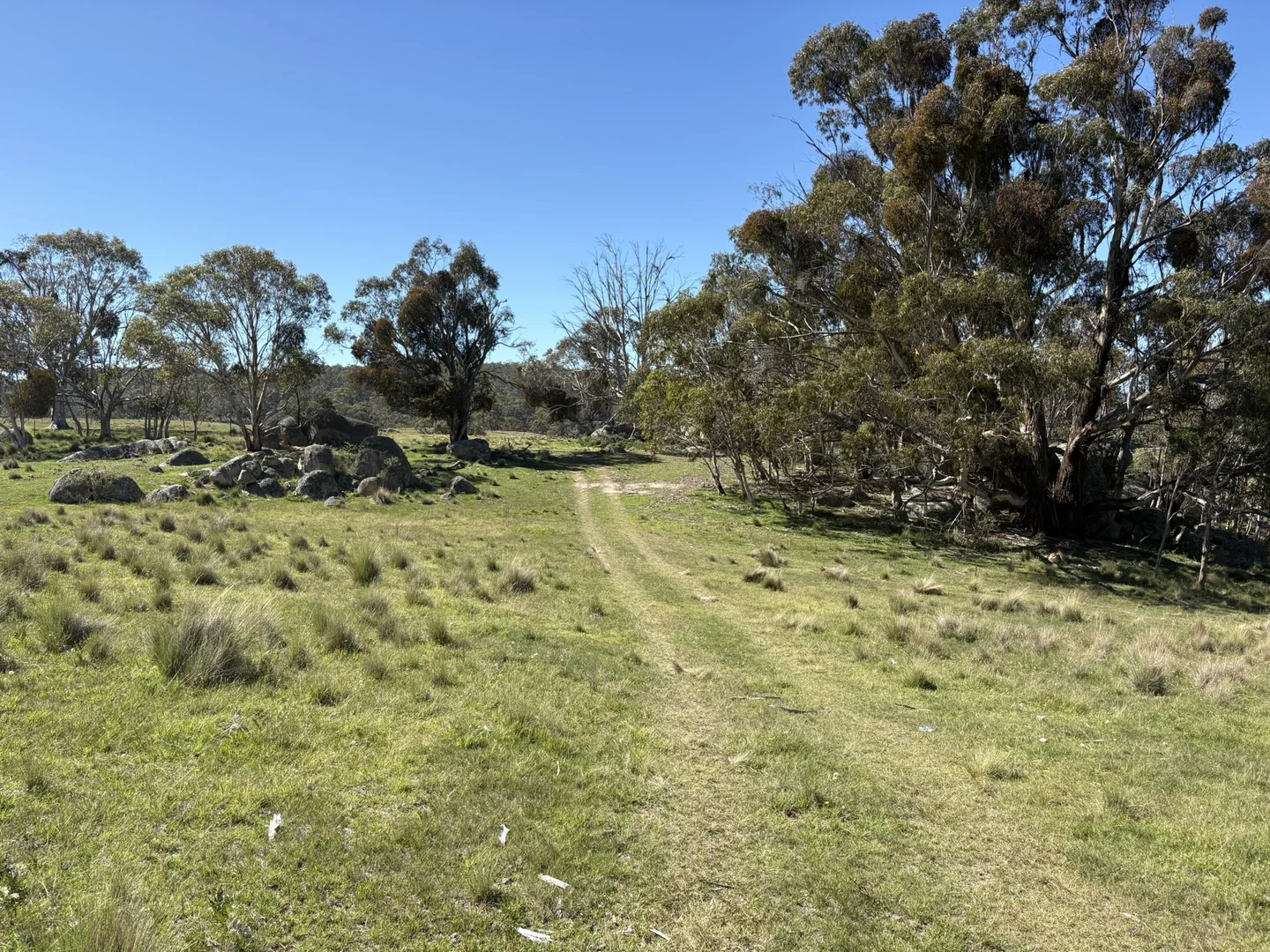 Additional image 14 of Lot 125/125, 175 Tumbledown Road, Peak View NSW 2630