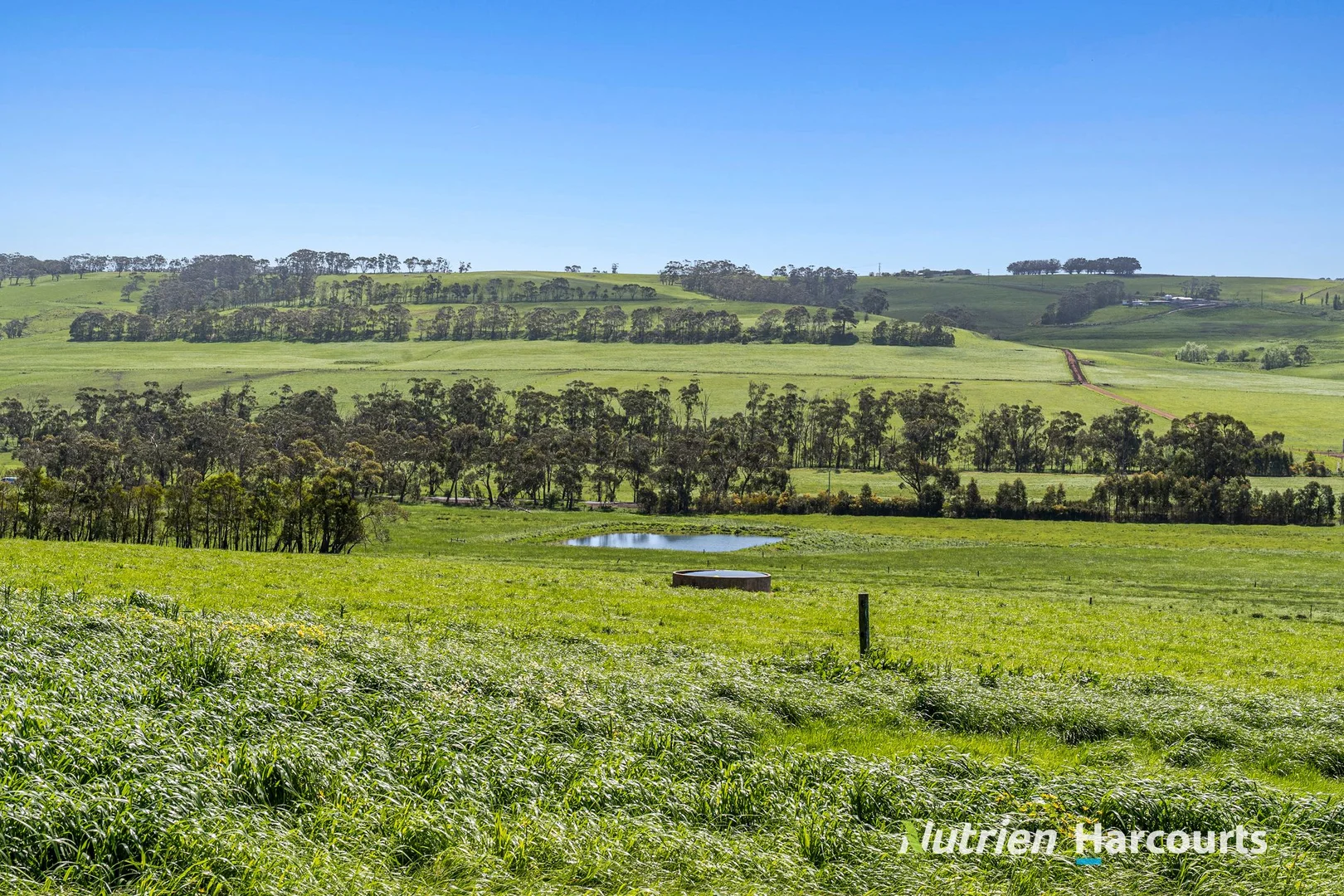 Additional image 5 of Part/880 Timboon - Colac Road, Simpson VIC 3266