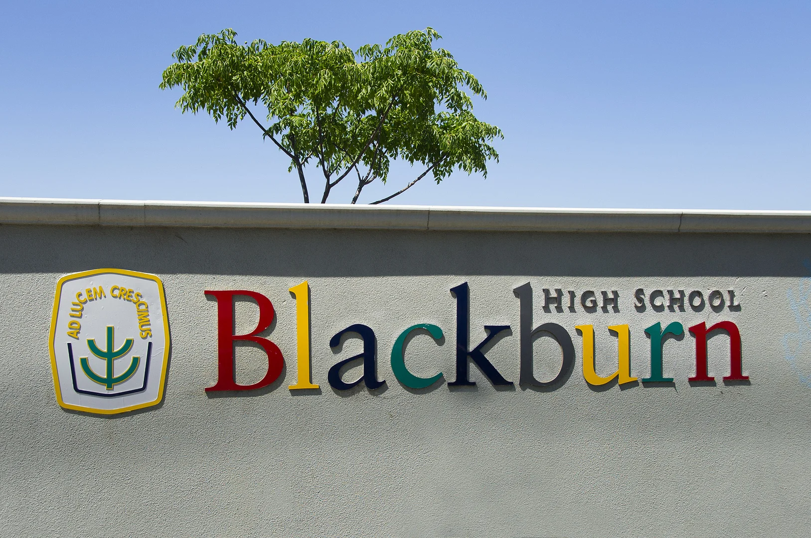 Additional image 15 of 12/12 John Street, Blackburn VIC 3130
