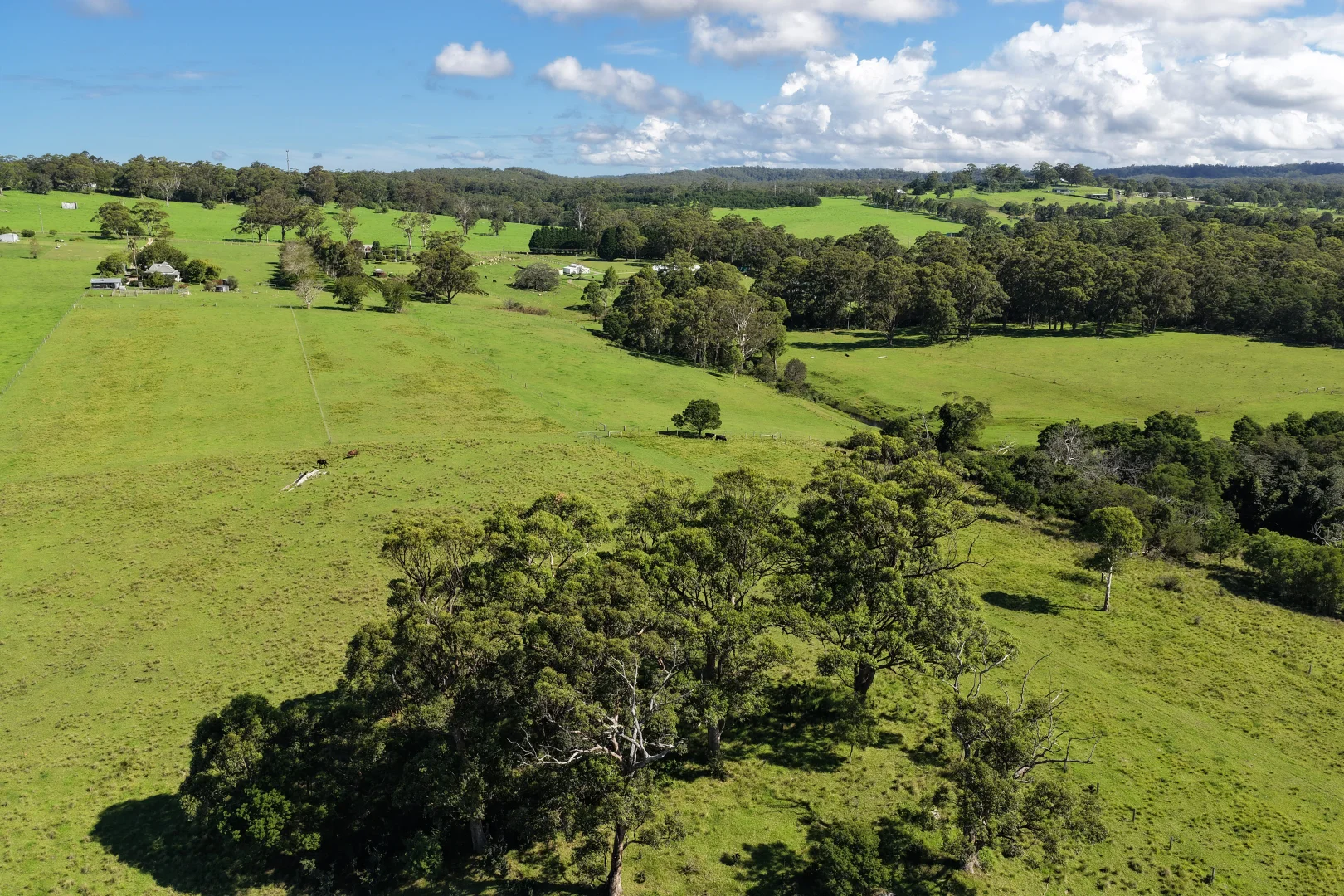 Additional image 6 of 24 Evans Lane, Woodstock NSW 2538