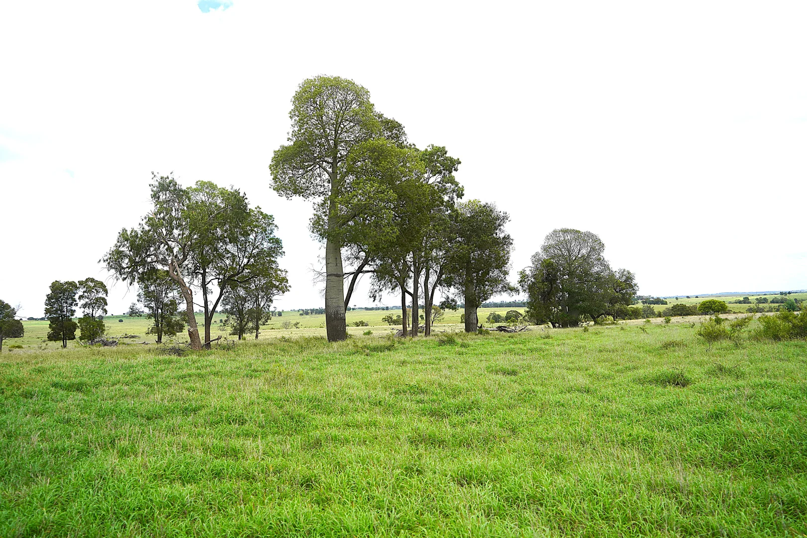 Additional image 2 of Billabong, Orallo Road, Roma QLD 4455