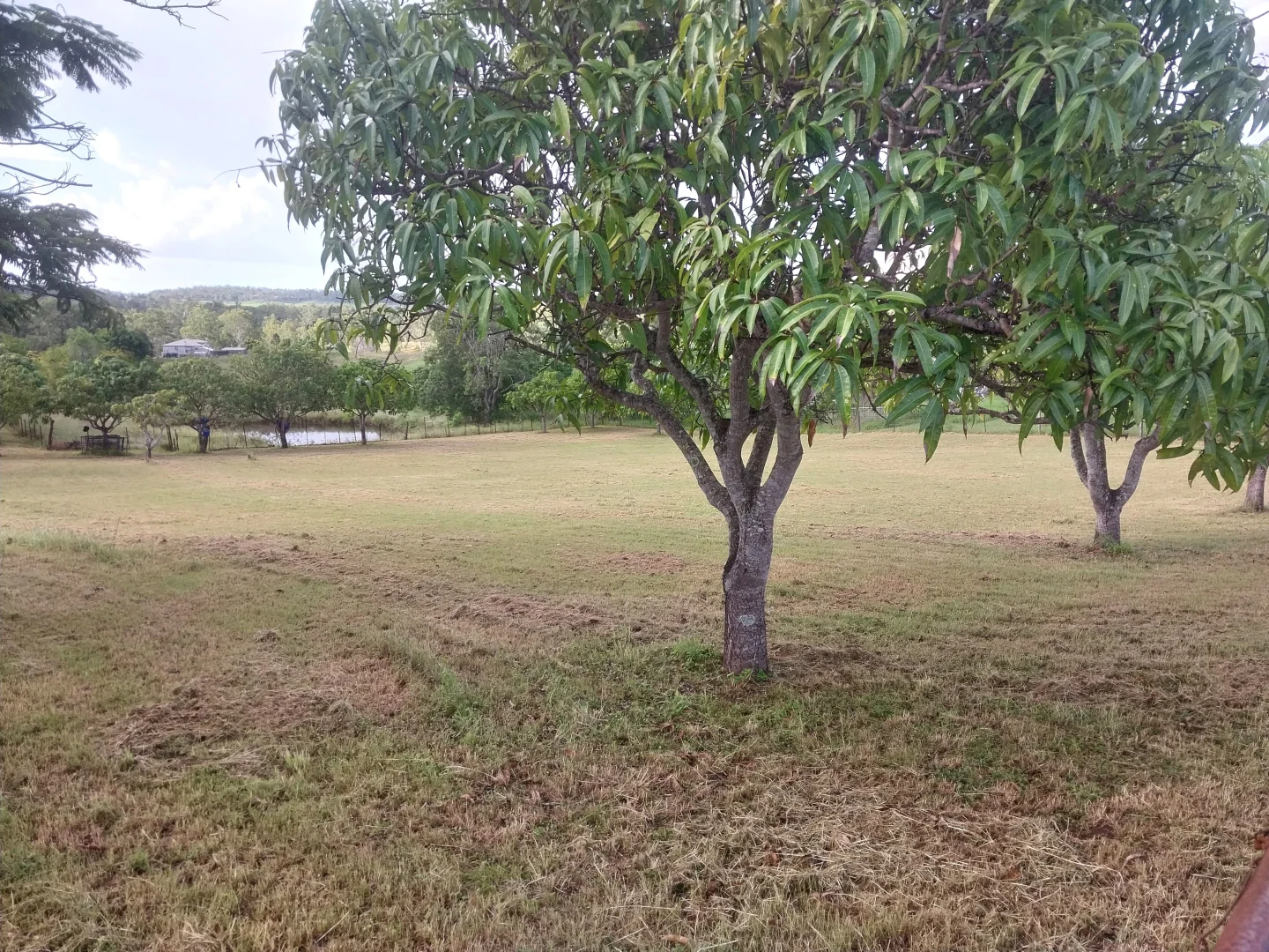 Additional image 4 of 22 Mingo Road, Morganville QLD 4671