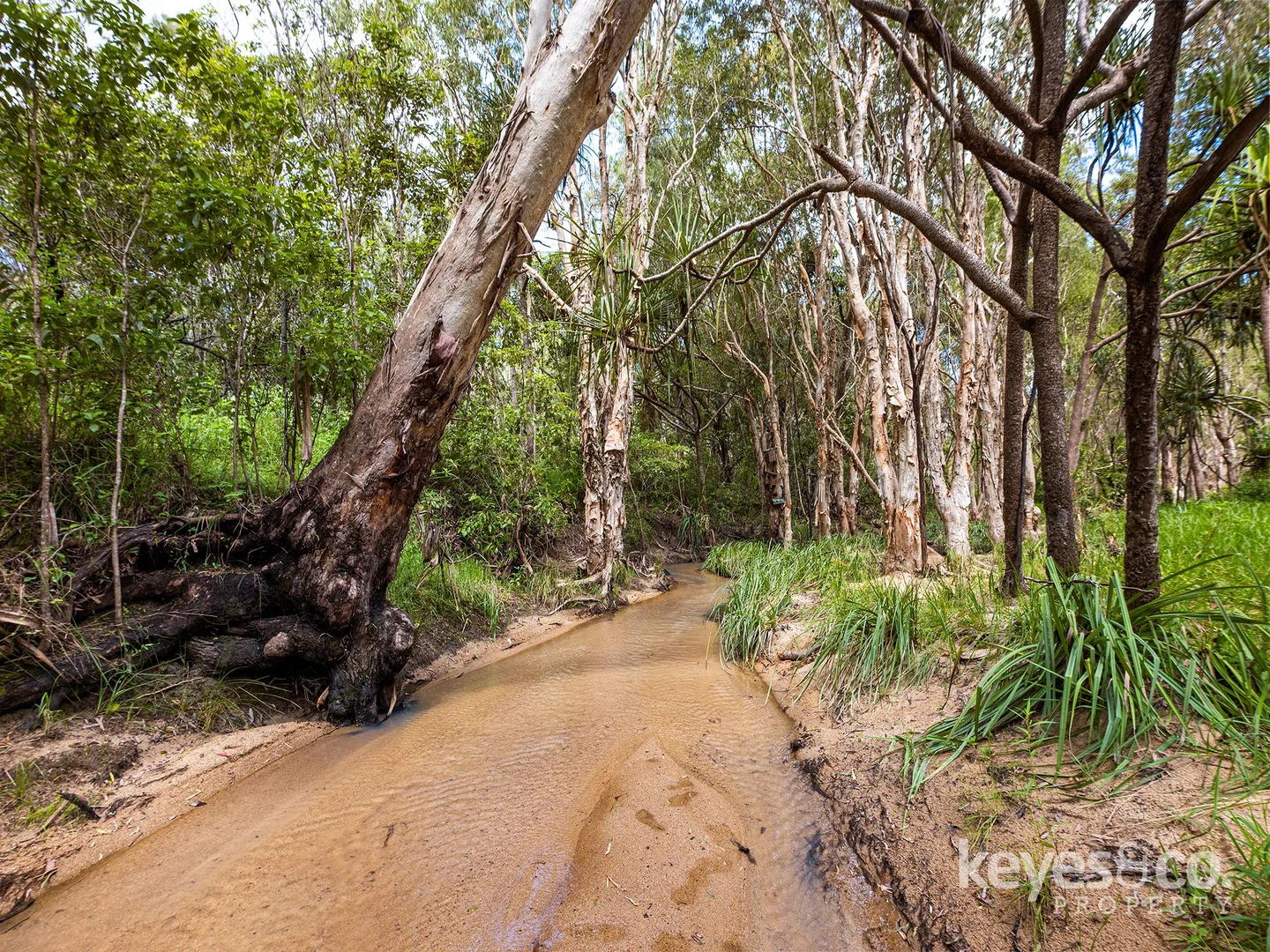 Additional image 14 of 46 Fryers Road, Hervey Range QLD 4817