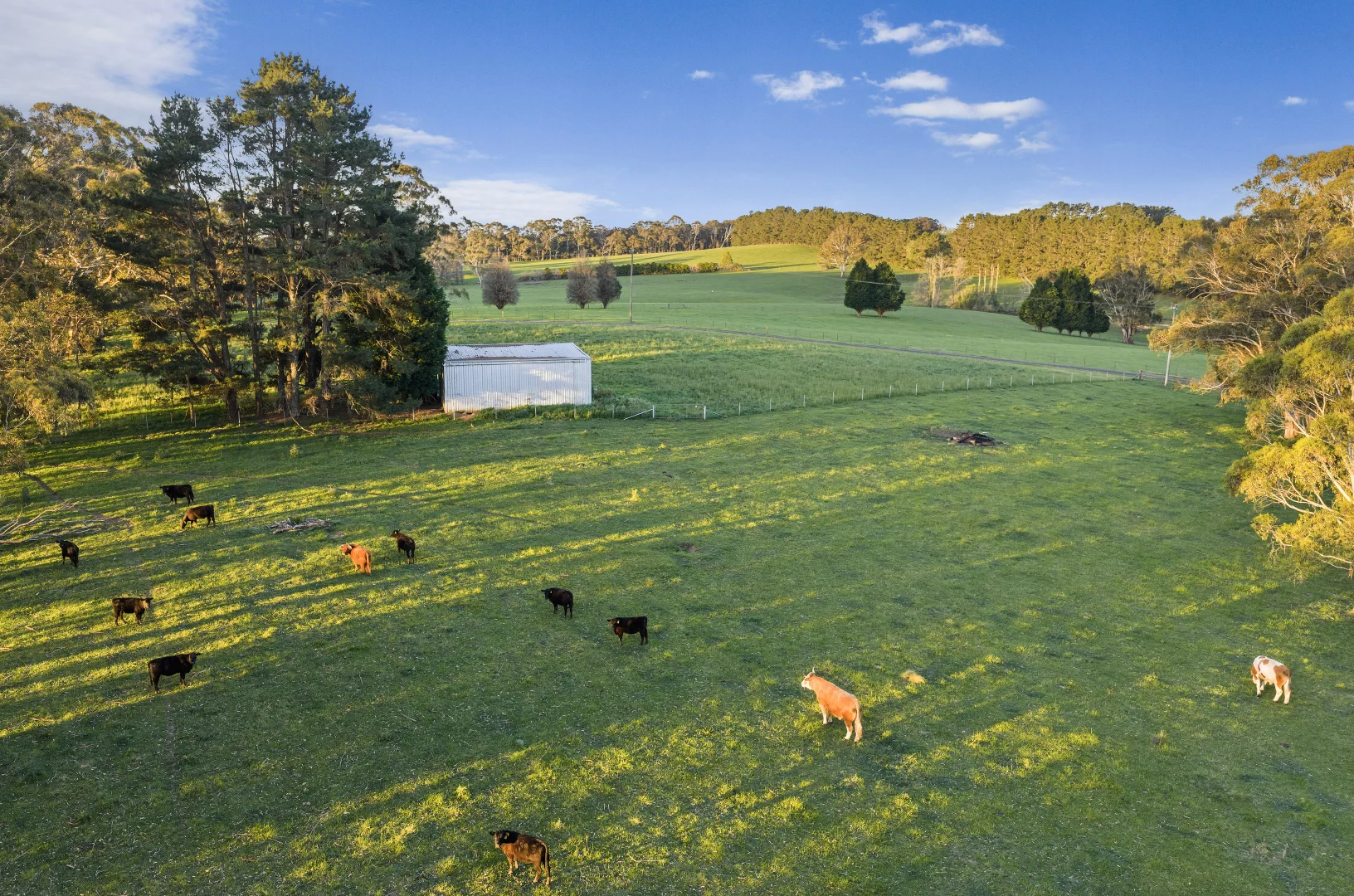 Additional image 18 of 506 Old Argyle Road, Exeter NSW 2579