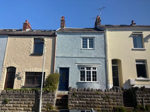 Thistleboon Road, Swansea SA3