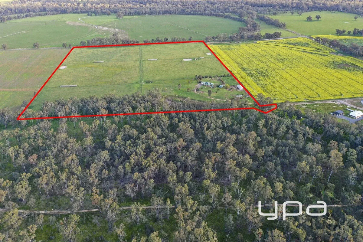 17 Meadow Drive, Toolamba VIC 3614 photo 4