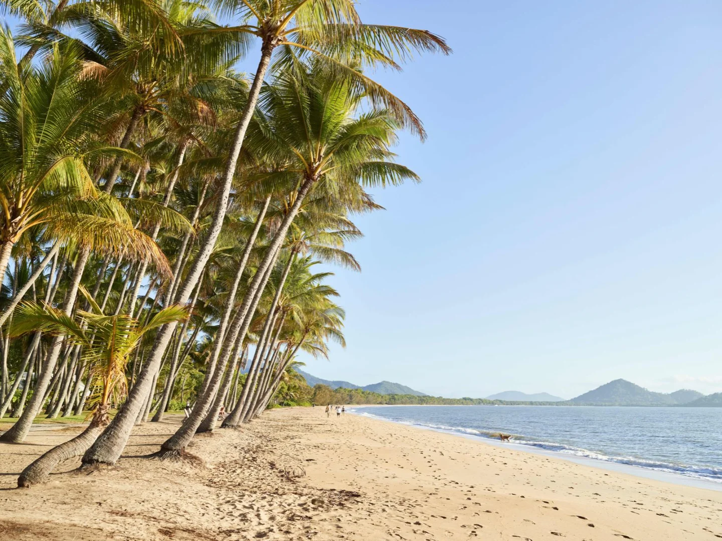 Additional image 2 of 6 Oceans Edge Boulevard, Palm Cove QLD 4879