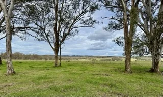 Additional image 2 of 5440 Mount Lindesay Road, Liston NSW 2372