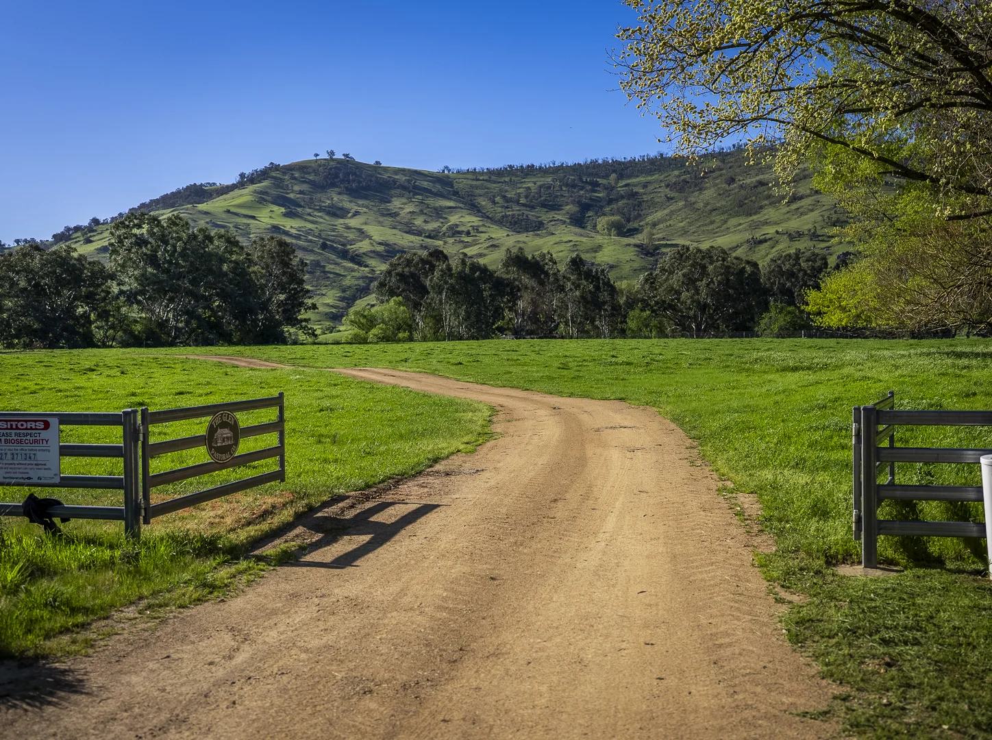Additional image 11 of - Murray River Road, Pine Mountain VIC 3709