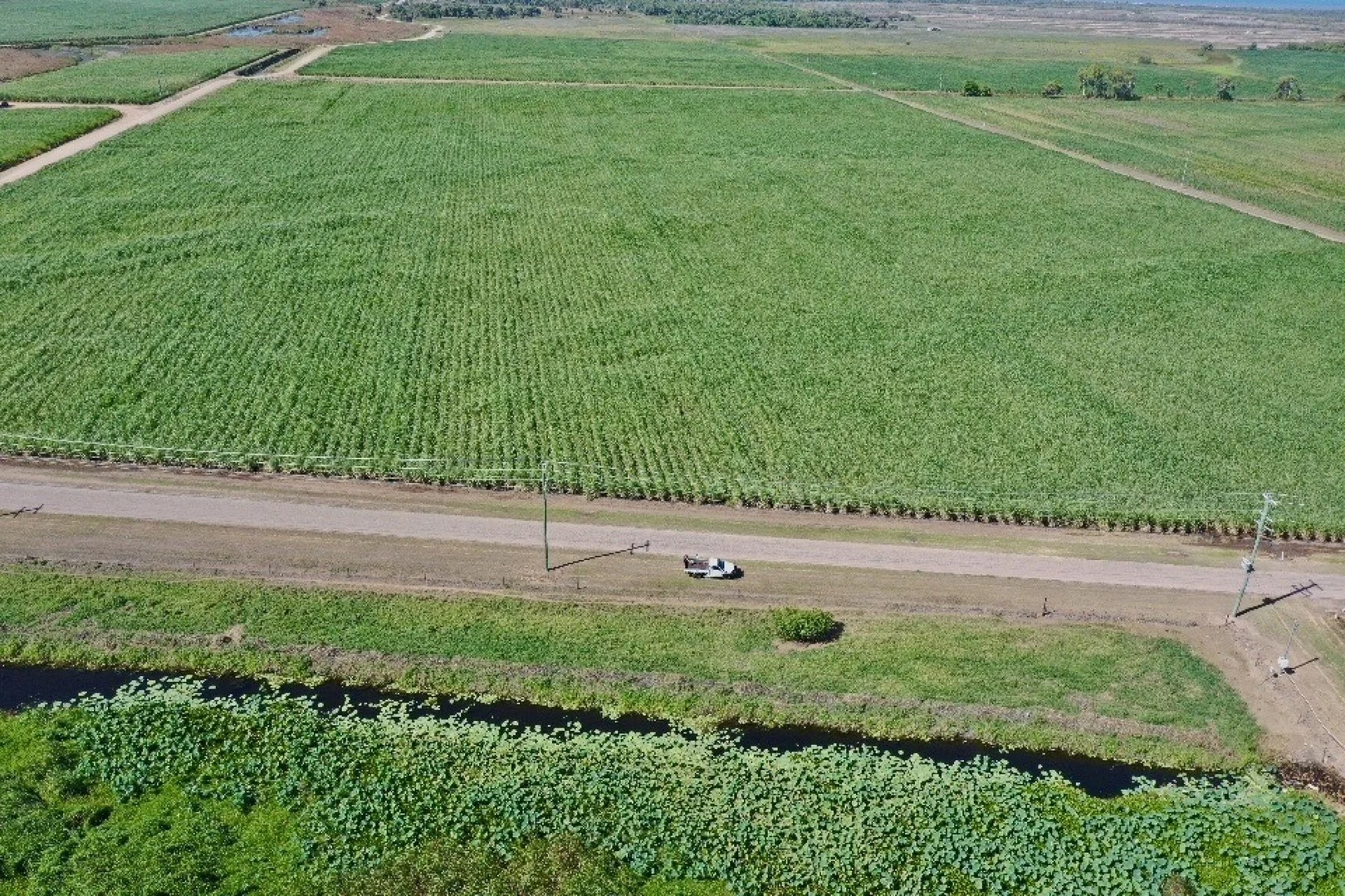449 Trent Road, Alva QLD 4807