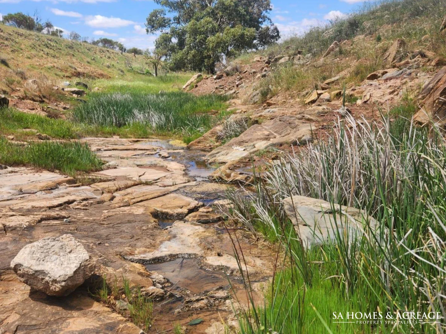Additional image 10 of Lot 187 Cutting Road, Point Pass SA 5374