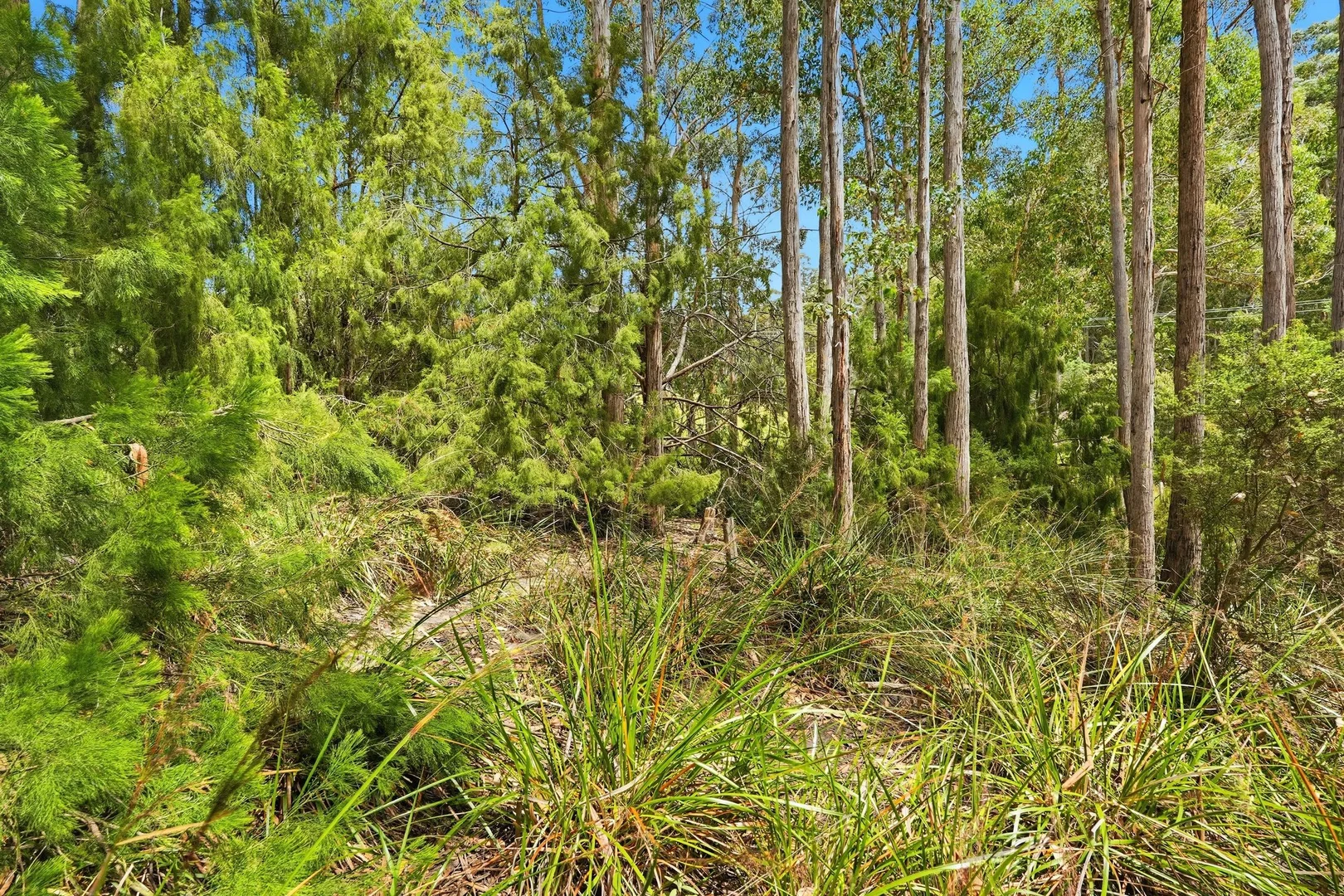 Additional image 10 of Lots 9 & 10 Esperance Coast Road, Dover TAS 7117
