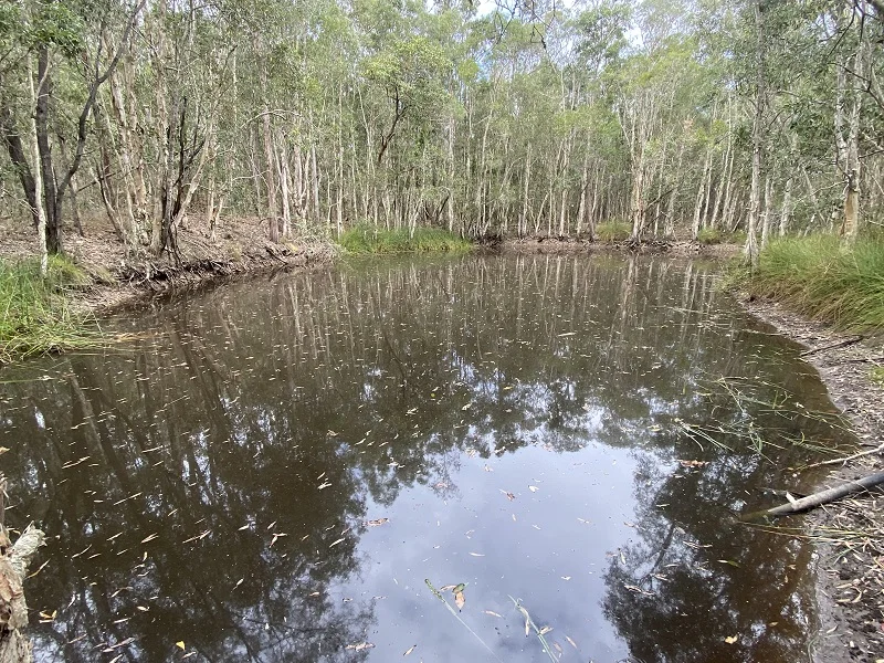 Additional image 2 of 89 Banksia Road, Talegalla Weir QLD 4650
